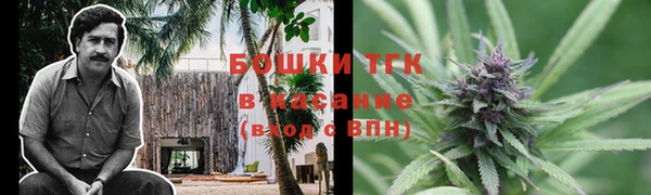 дурь Горно-Алтайск