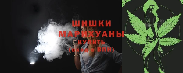 прущие крисы Горняк