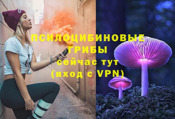 дурь Горно-Алтайск