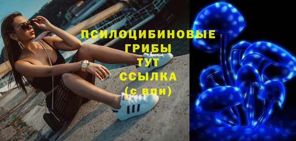 прущие крисы Горняк