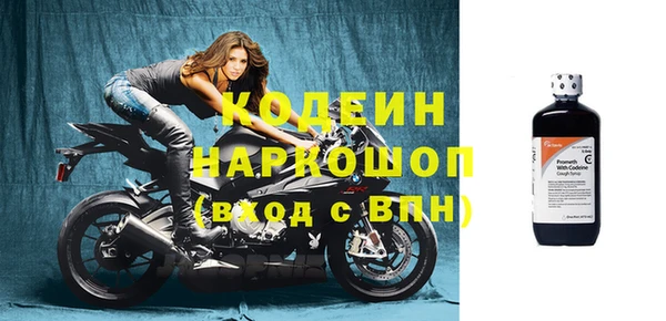 прущие крисы Горняк