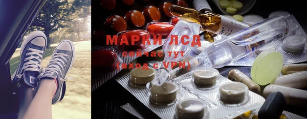 прущие крисы Горняк